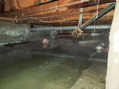 Crawl Space Water Remediation in Wilmington, NC