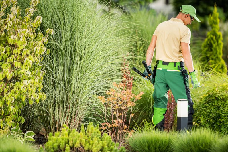 Landscaping and Yard Restoration